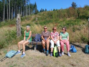 IMG 20260810 WA0033