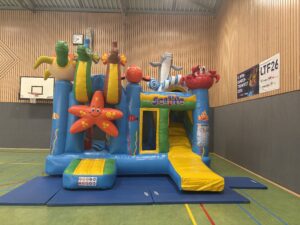 IMG 1649