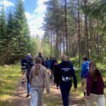 Schweden Wald