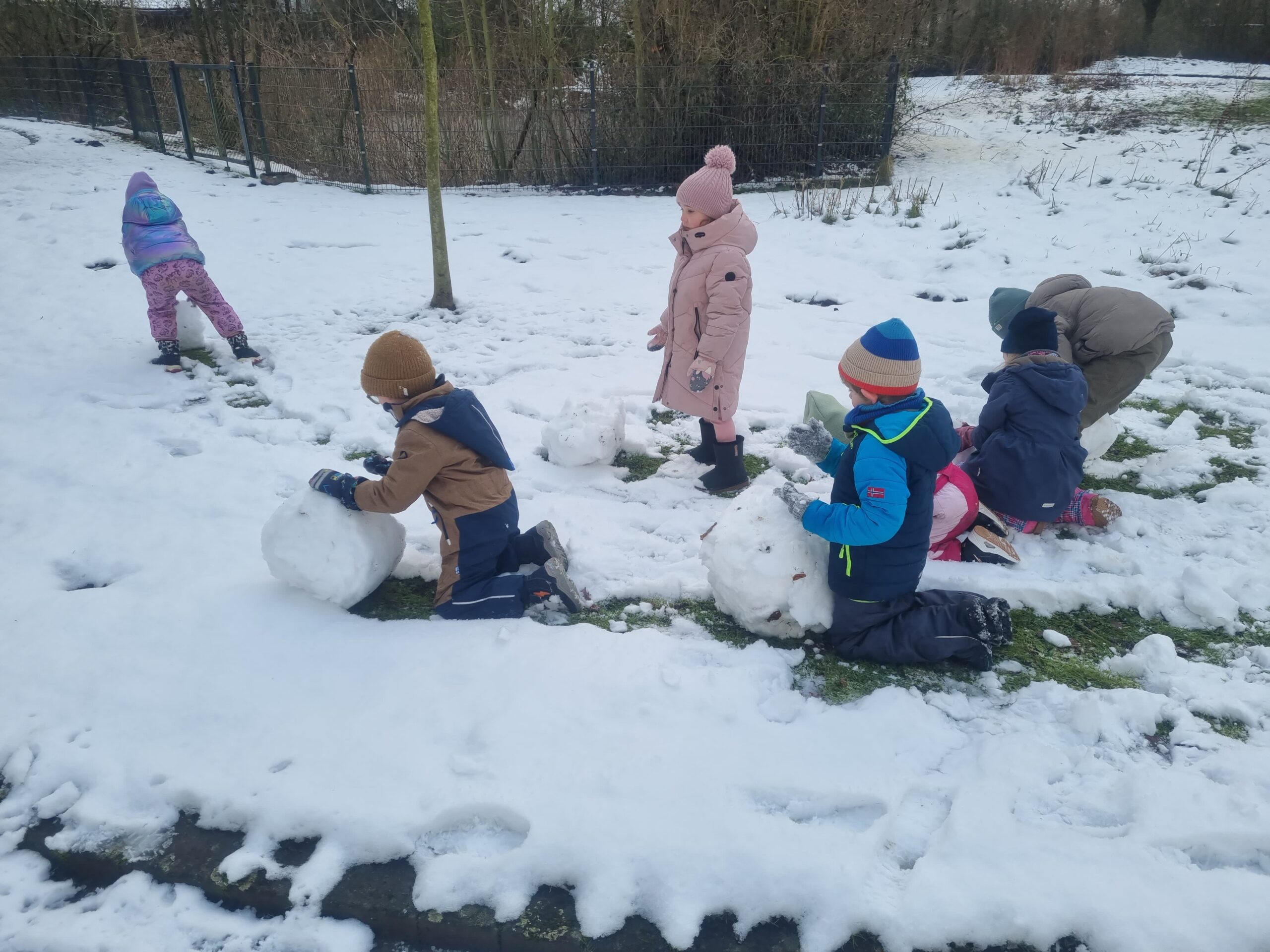 Schulstrolche Im Schnee (4)