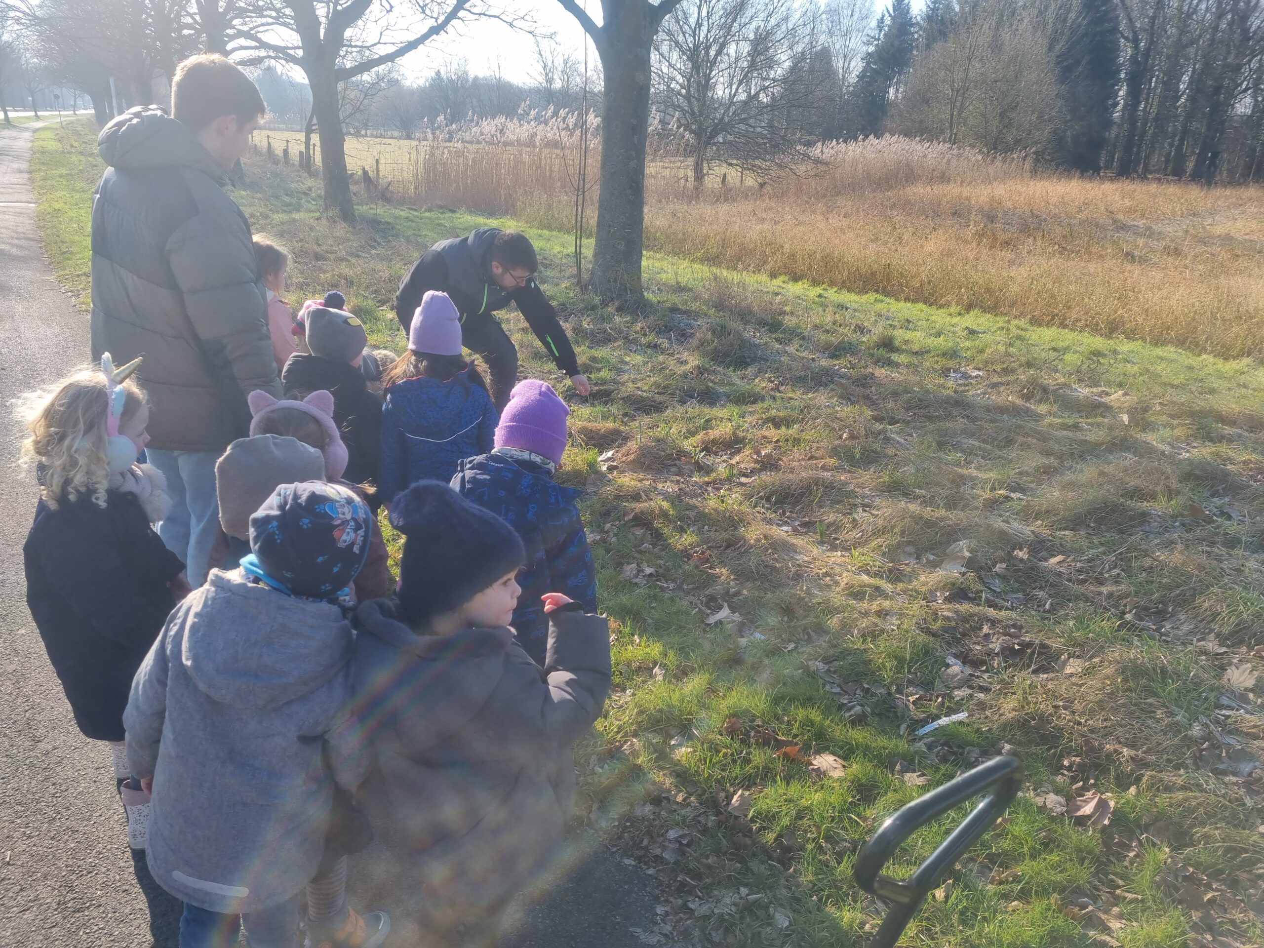 Auf Der Suche Nach Dem Frühling (2)