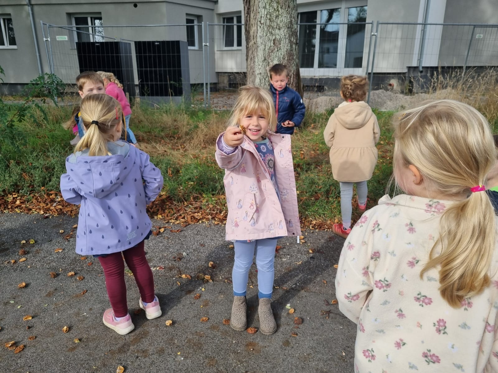 Der Herbst Ist Da (2)
