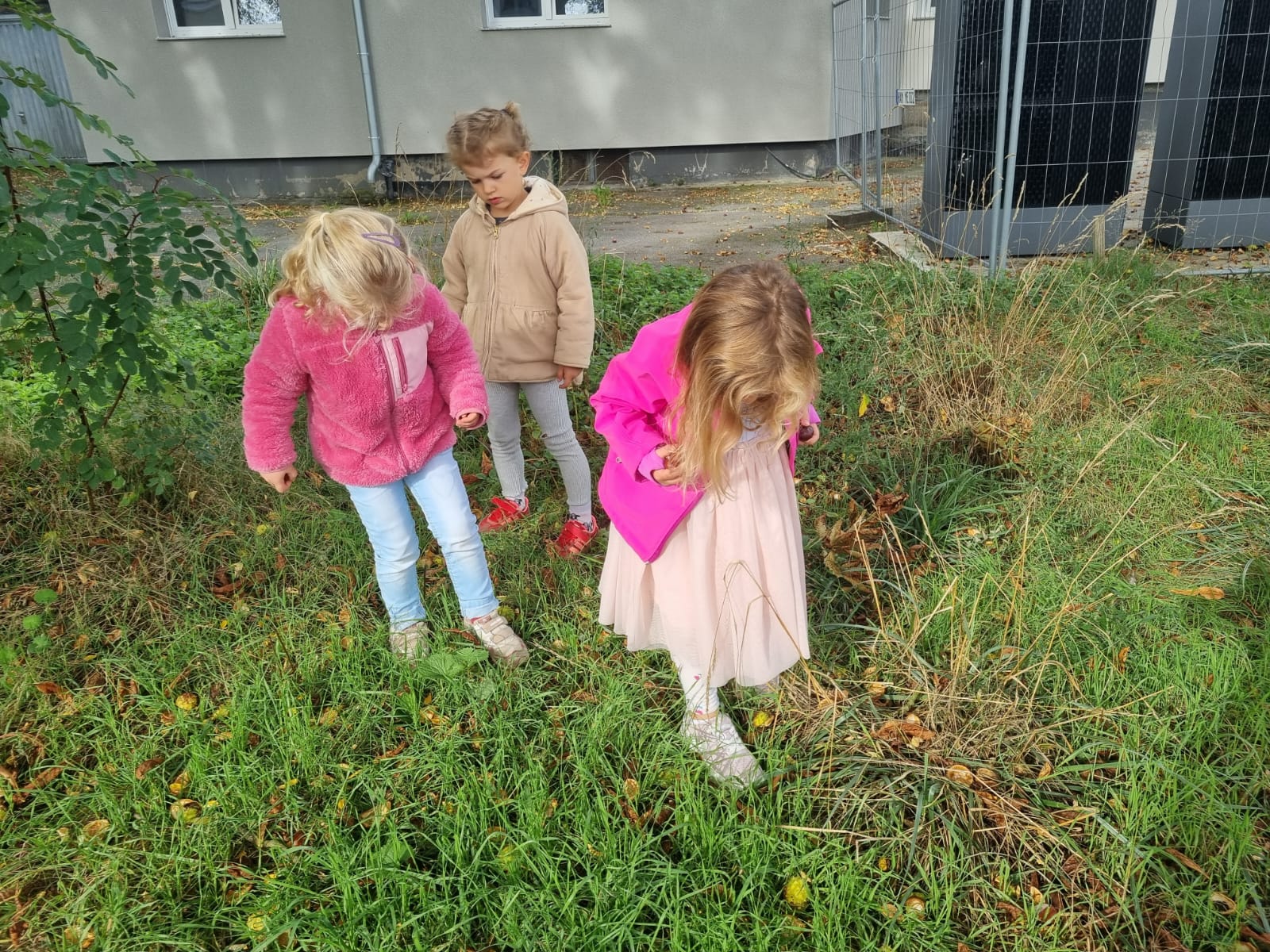Der Herbst Ist Da (3)