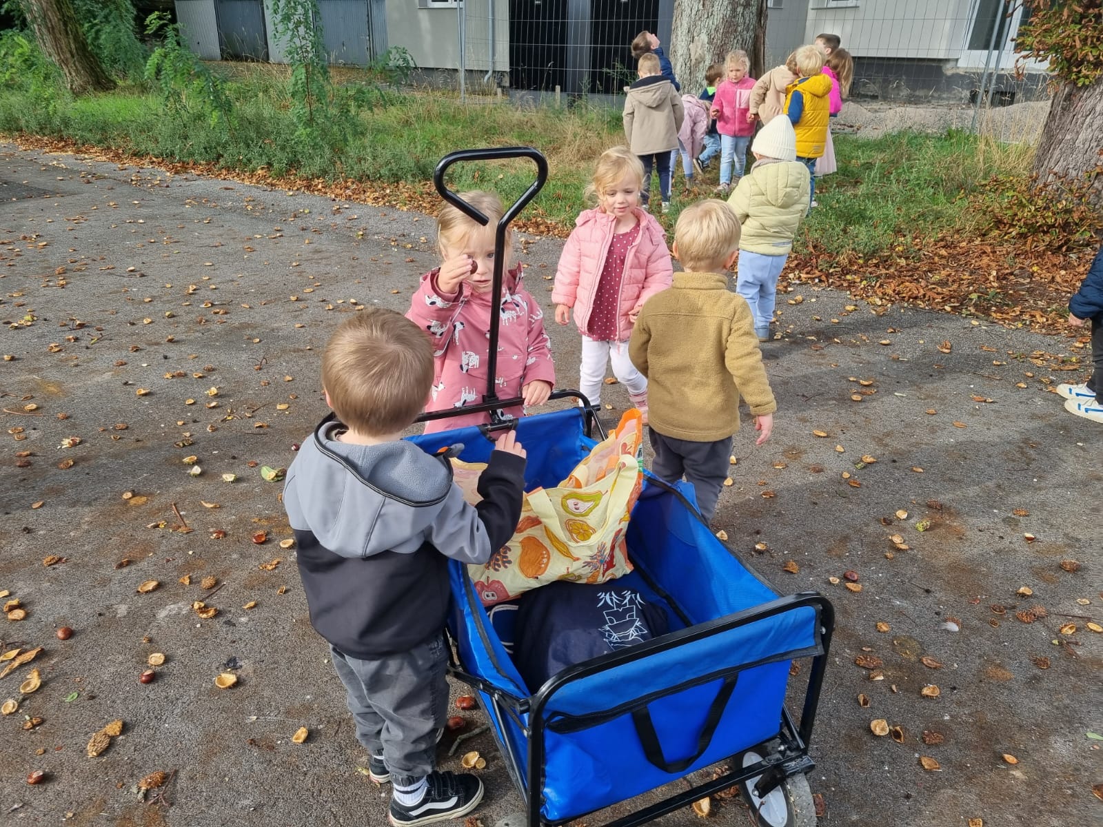 Der Herbst Ist Da (4)