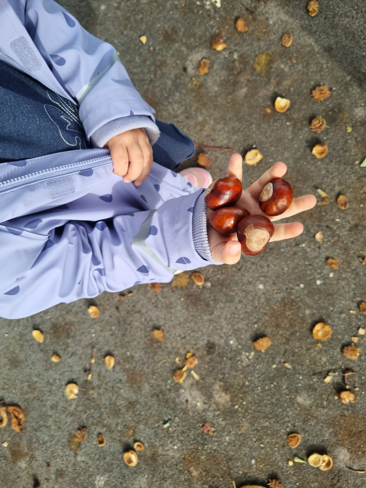 Der Herbst Ist Da (5)