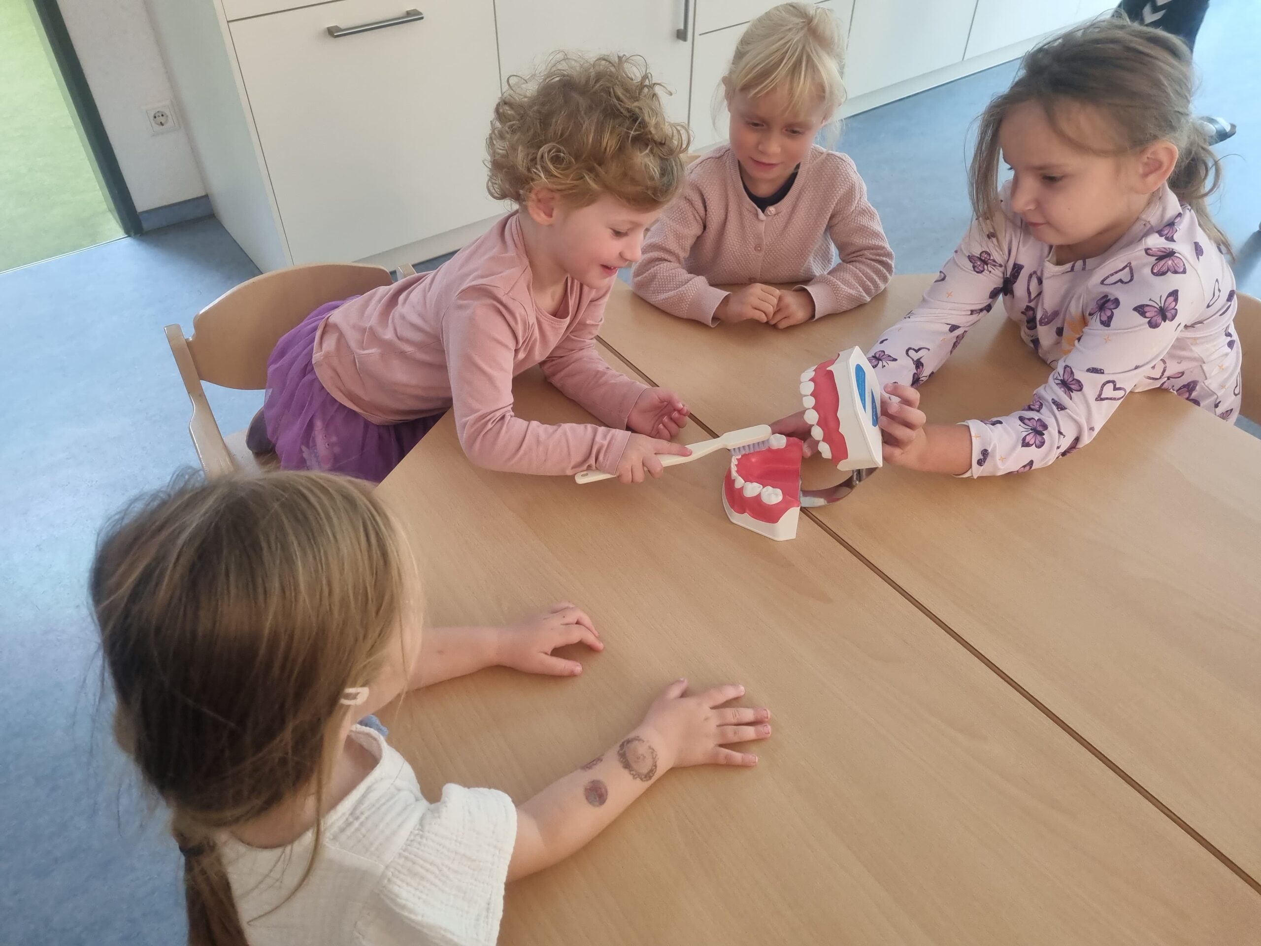 Zahngesundheit Frau Langner (2)