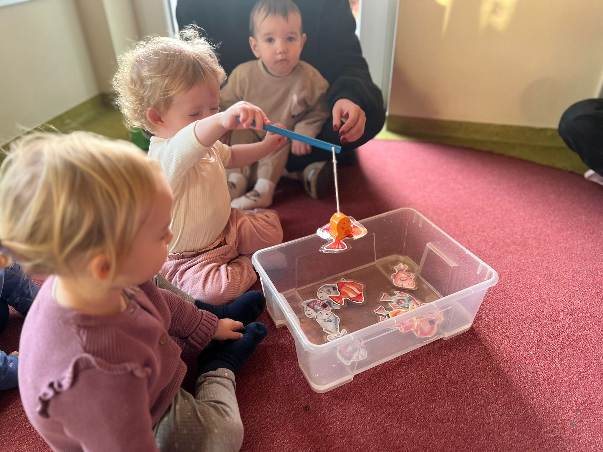 Cd75228d 47f7 4c73 Ae78 8c9e50659131