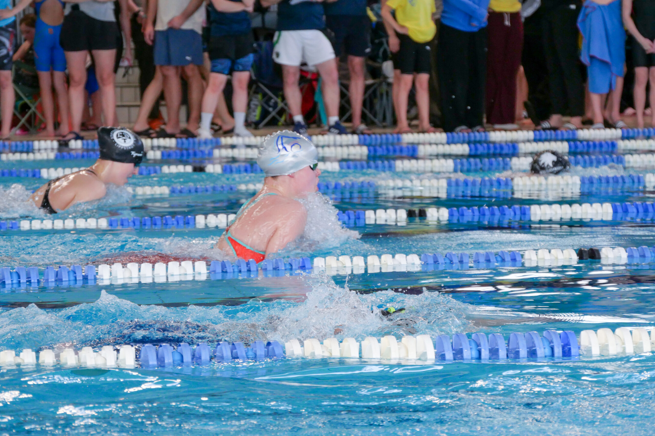 SW Maximare Swim Cup