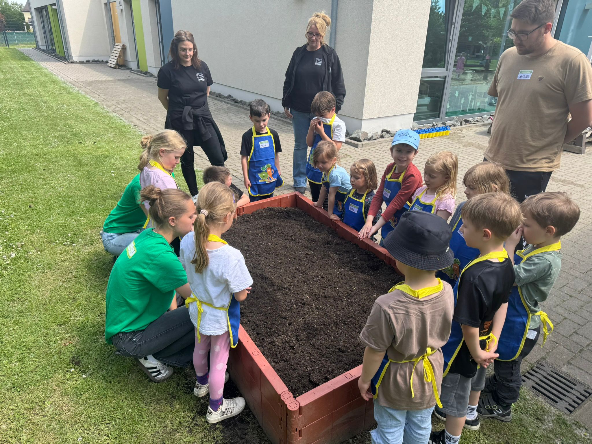 Hochbeet Wieder Frisch Bepfanzt (4)