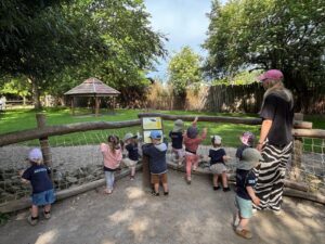 Sonnenstrolche Im Tierpark (3)