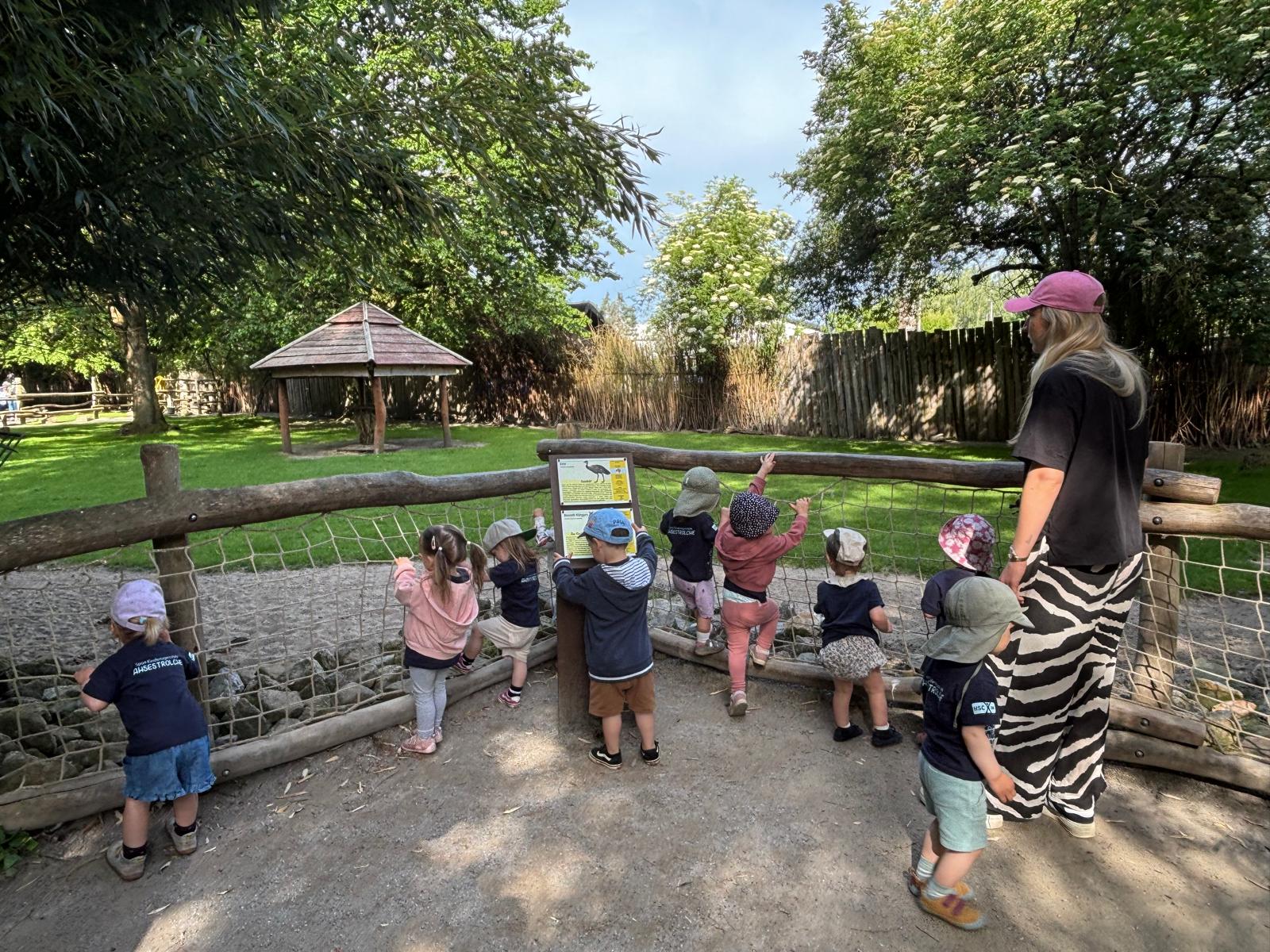 Sonnenstrolche Im Tierpark (3)
