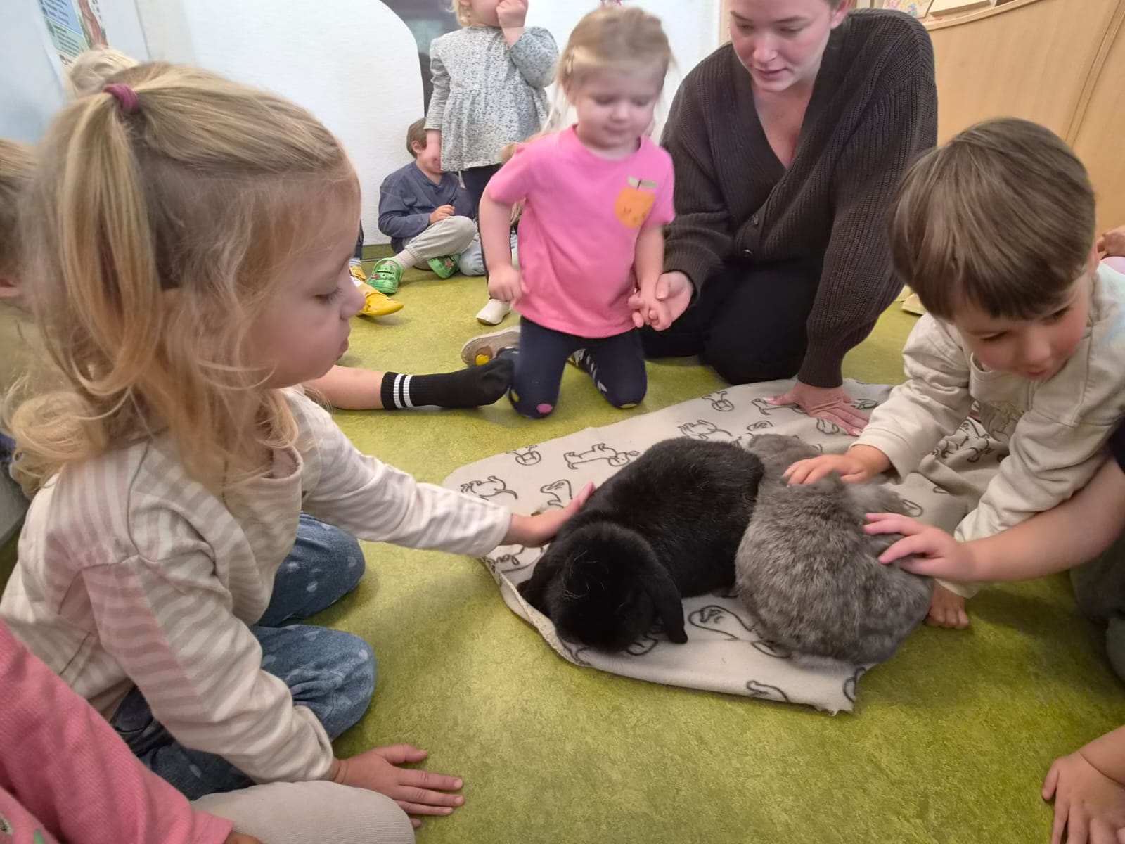 Tierischer Besuch Bei Den Wiesenstrolchen (4)