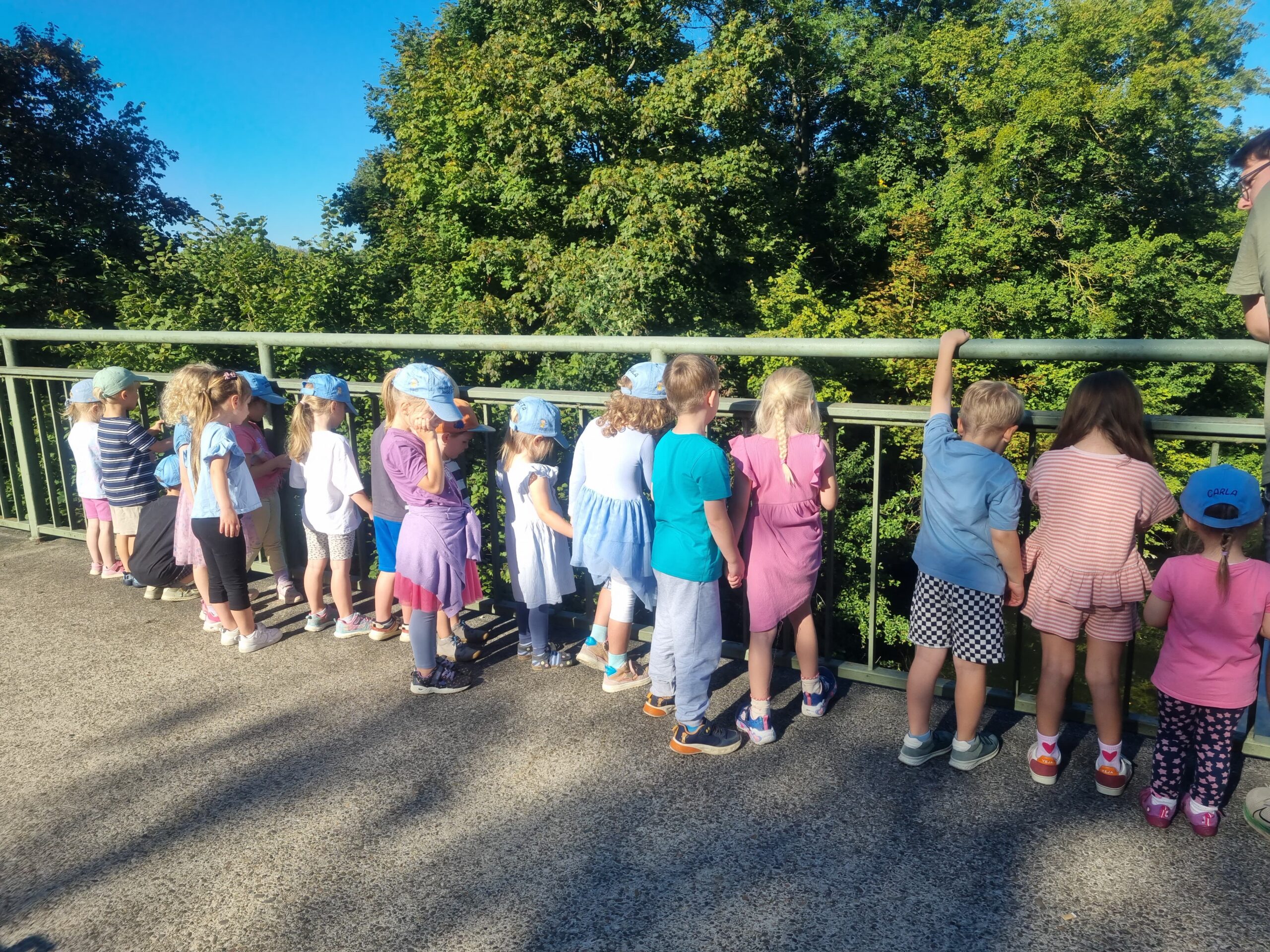 Wasserstrolche Erkunden Die Umgebung (1)