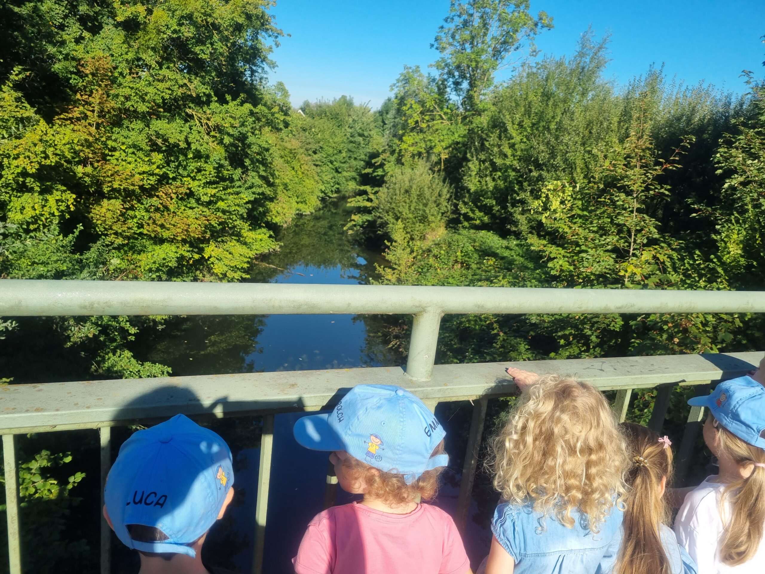 Wasserstrolche Erkunden Die Umgebung (3)